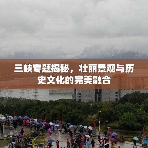 十年磨剑 第2页