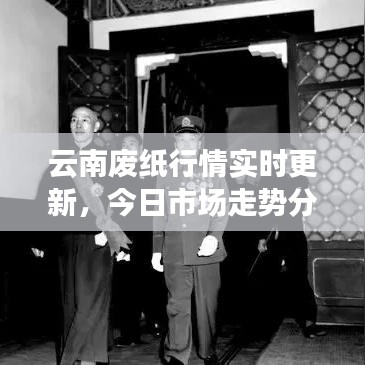 云南废纸行情实时更新，今日市场走势分析