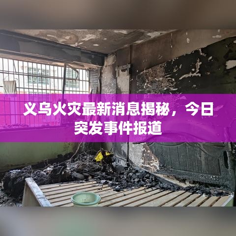 义乌火灾最新消息揭秘，今日突发事件报道