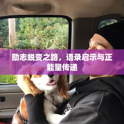 长命富贵 第3页