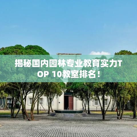 鸟为食亡 第2页