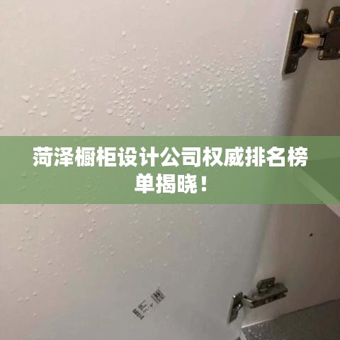 菏泽橱柜设计公司权威排名榜单揭晓！