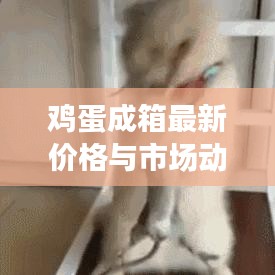 张冠李戴 第2页