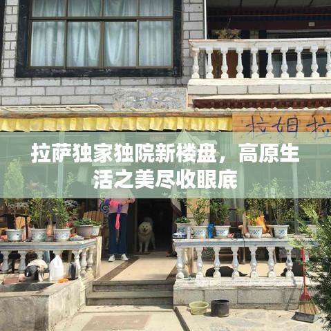 拉萨独家独院新楼盘，高原生活之美尽收眼底