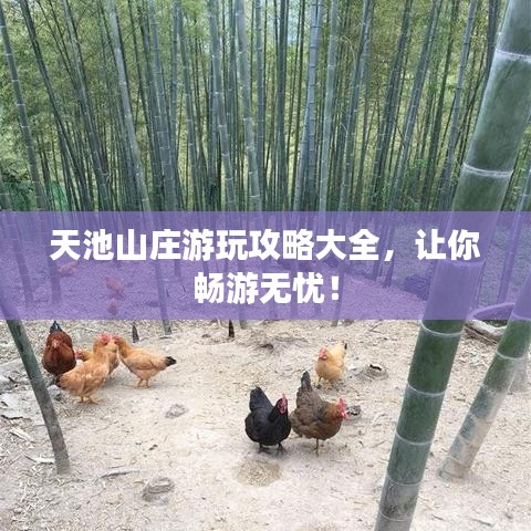 天池山庄游玩攻略大全，让你畅游无忧！