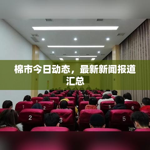 棉市今日动态，最新新闻报道汇总