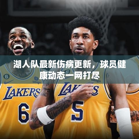 湖人队最新伤病更新，球员健康动态一网打尽