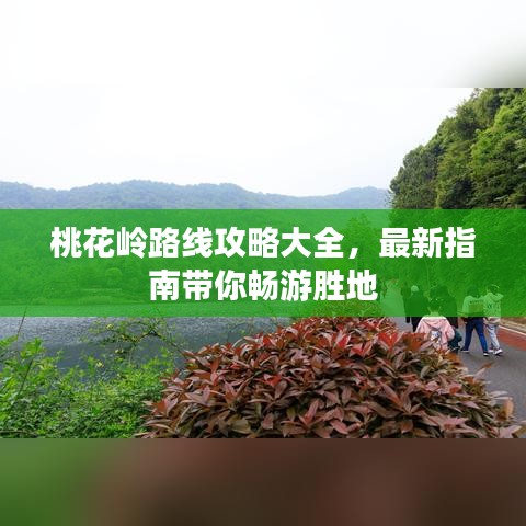 桃花岭路线攻略大全，最新指南带你畅游胜地