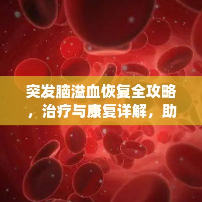 突发脑溢血恢复全攻略，治疗与康复详解，助力患者重拾健康之路！