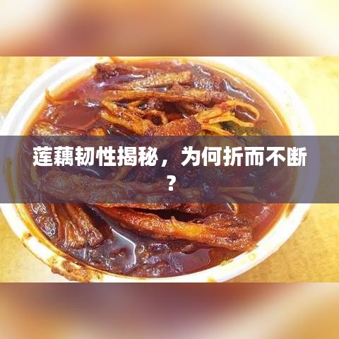 富贵功名 第2页