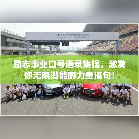 雍容华贵 第2页