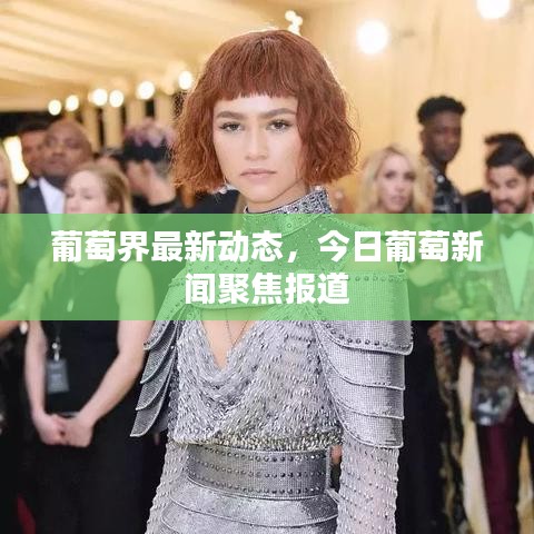 葡萄界最新动态，今日葡萄新闻聚焦报道