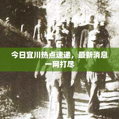 今日宜川热点速递，最新消息一网打尽
