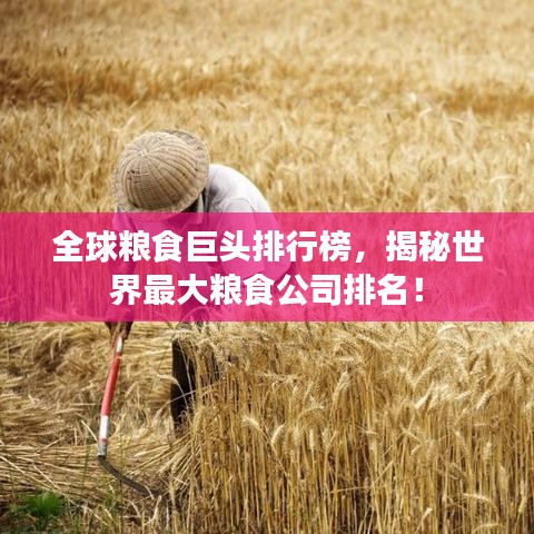 全球粮食巨头排行榜，揭秘世界最大粮食公司排名！