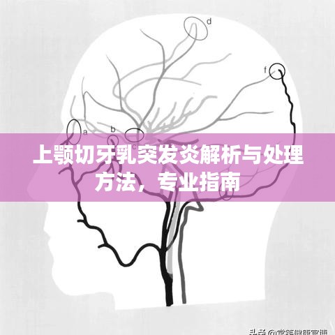 上颚切牙乳突发炎解析与处理方法，专业指南