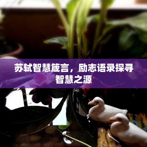 苏轼智慧箴言，励志语录探寻智慧之源