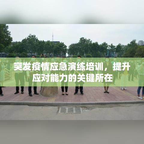 候鸟南飞 第2页