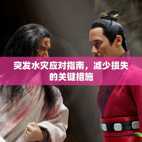 突发水灾应对指南，减少损失的关键措施