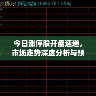 今日涨停股开盘速递，市场走势深度分析与预测