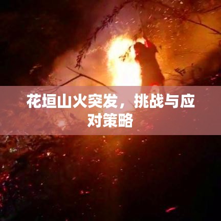 花垣山火突发，挑战与应对策略
