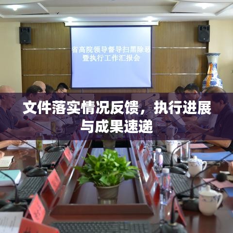 文件落实情况反馈，执行进展与成果速递