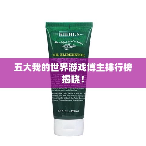 五大我的世界游戏博主排行榜揭晓！