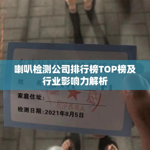 喇叭检测公司排行榜TOP榜及行业影响力解析