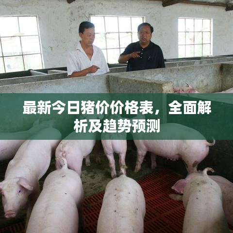 最新今日猪价价格表，全面解析及趋势预测