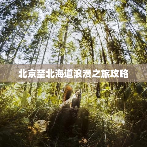 北京至北海道浪漫之旅攻略