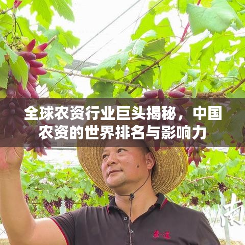 全球农资行业巨头揭秘，中国农资的世界排名与影响力