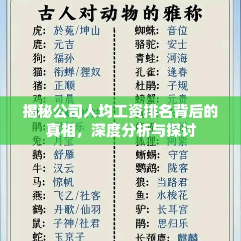 揭秘公司人均工资排名背后的真相，深度分析与探讨