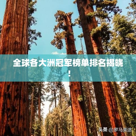 全球各大洲冠军榜单排名揭晓！
