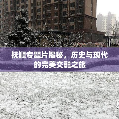 抚顺专题片揭秘，历史与现代的完美交融之旅