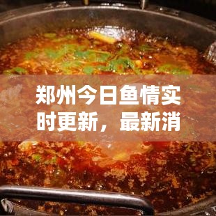 郑州今日鱼情实时更新，最新消息数据大揭秘