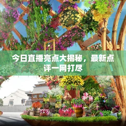 今日直播亮点大揭秘，最新点评一网打尽