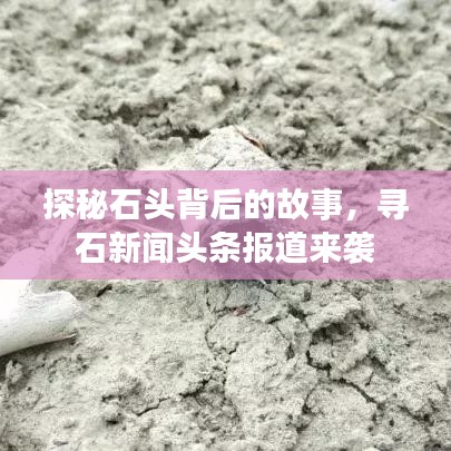 探秘石头背后的故事，寻石新闻头条报道来袭