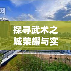 探寻武术之城荣耀与实力，奉化散打世界排名揭秘