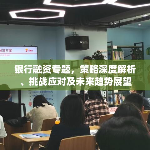 银行融资专题，策略深度解析、挑战应对及未来趋势展望