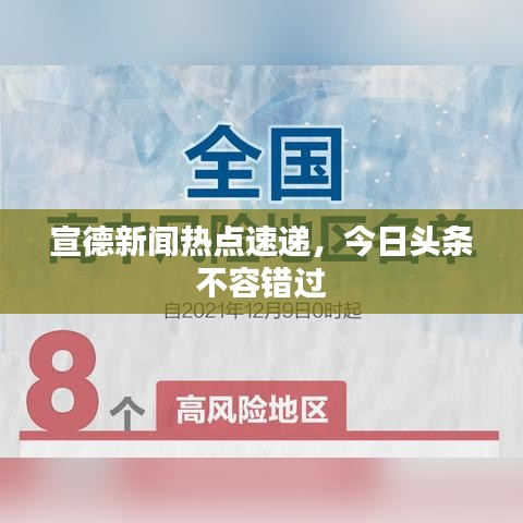 宣德新闻热点速递，今日头条不容错过