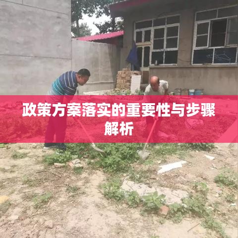 政策方案落实的重要性与步骤解析