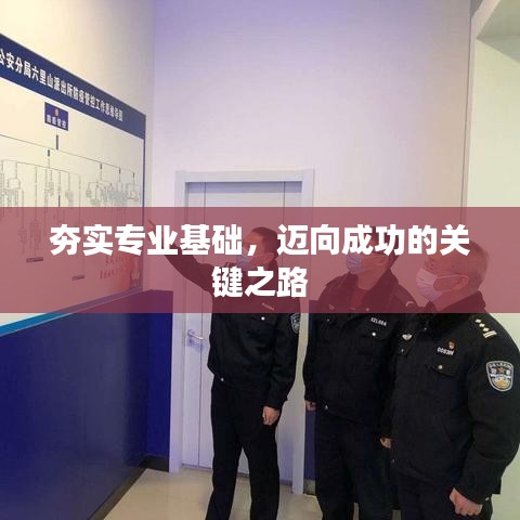 夯实专业基础，迈向成功的关键之路