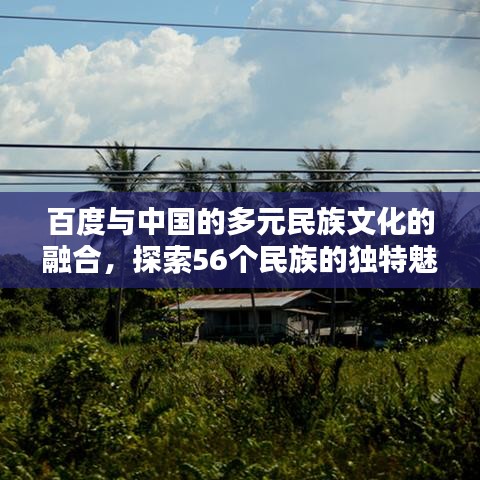 百度与中国的多元民族文化的融合，探索56个民族的独特魅力