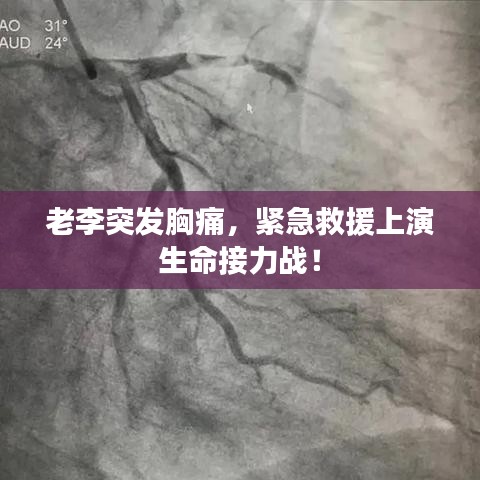 富贵逼人 第2页