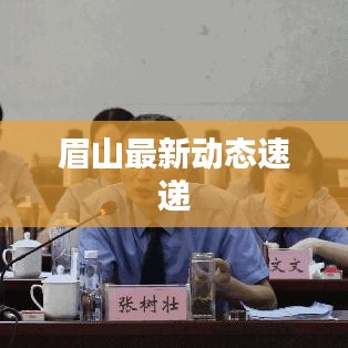 眉山最新动态速递