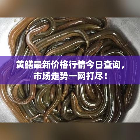 刻画入微 第2页
