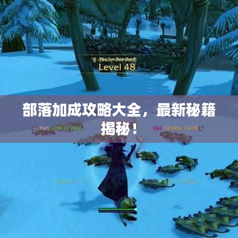 部落加成攻略大全，最新秘籍揭秘！