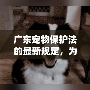 远山芙蓉 第2页