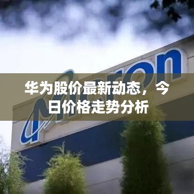 华为股价最新动态，今日价格走势分析