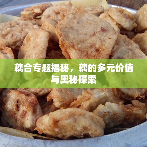 藕合专题揭秘，藕的多元价值与奥秘探索