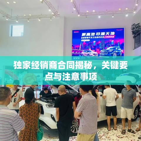 独家经销商合同揭秘，关键要点与注意事项